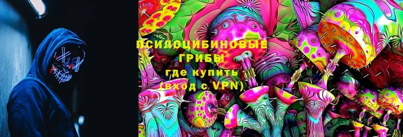 Псилоцибиновые грибы MAGIC MUSHROOMS  Лабинск 